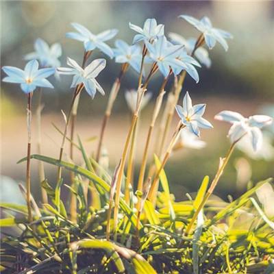 皇冠hg8868新版点此进入