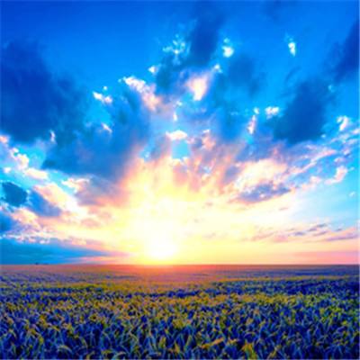 皇冠正规娱乐平台截图