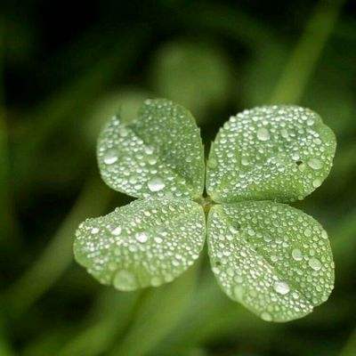 半岛app下载入口截图